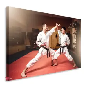 Karate Horizontal Krh11