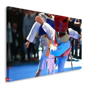 Karate Horizontal Krh13