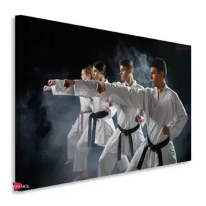 Karate Horizontal Krh3