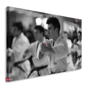 Karate Horizontal Krh4