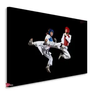 Karate Horizontal Krh7