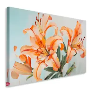 Lirio Flores Horizontal Lfh1