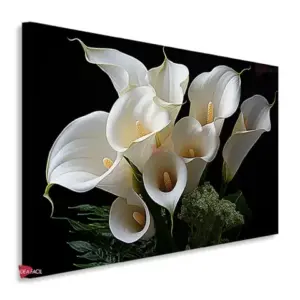 Lirio Flores Horizontal Lfh12