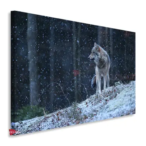 Lobo Horizontal Lbh21