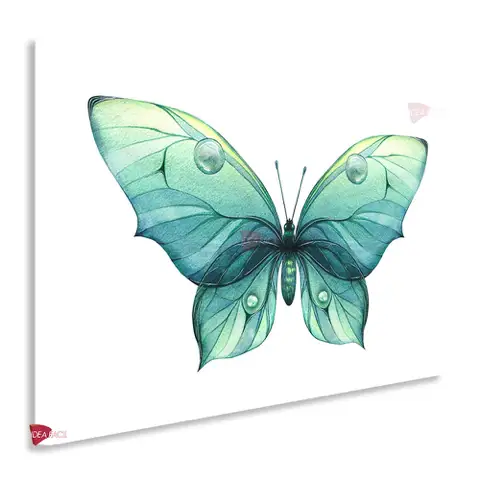 Mariposas Horizontal Mrh17