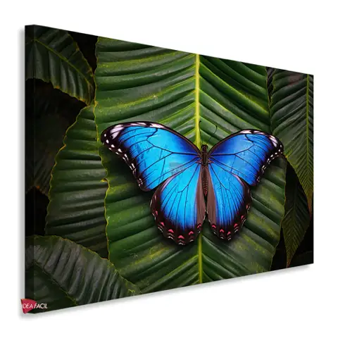 Mariposas Horizontal Mrh21