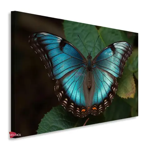 Mariposas Horizontal Mrh24