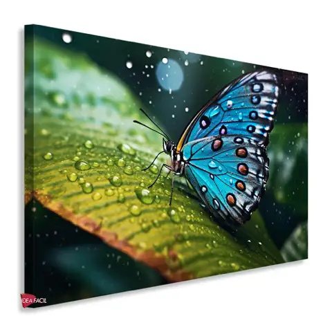Mariposas Horizontal Mrh9