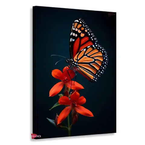Mariposas Vertical Mrv18
