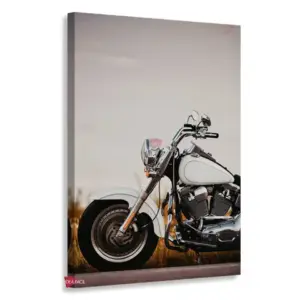 Moto Vertical Mtv1