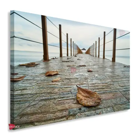 Muelles Horizontal Mlh17