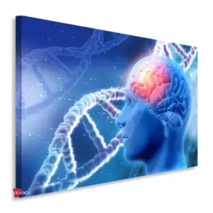 Neurología Horizontal Ngh11
