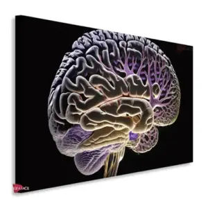 Neurología Horizontal Ngh12