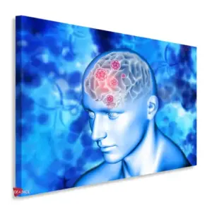 Neurología Horizontal Ngh20