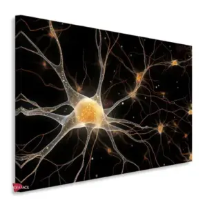 Neurología Horizontal Ngh3