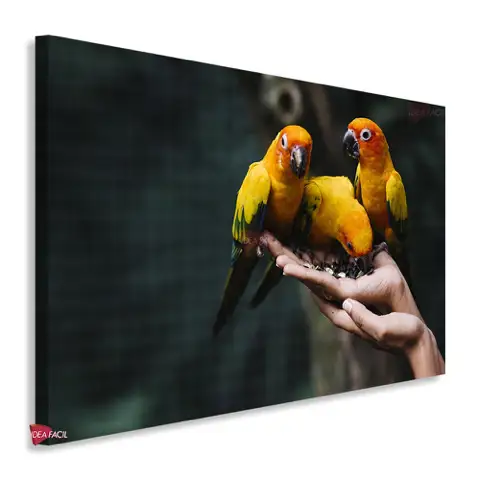 Aves Horizontal Pjh19
