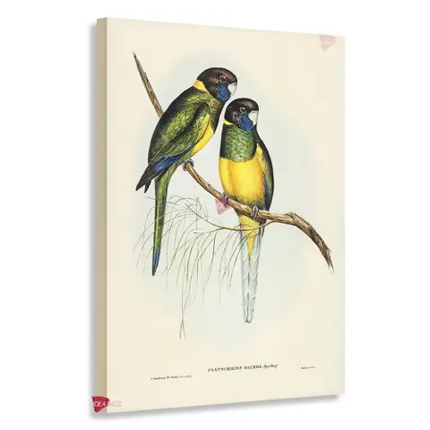 Aves Vertical Pjv1