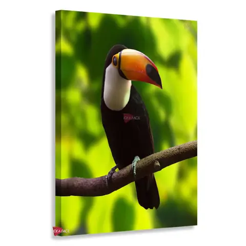 Aves Vertical Pjv11