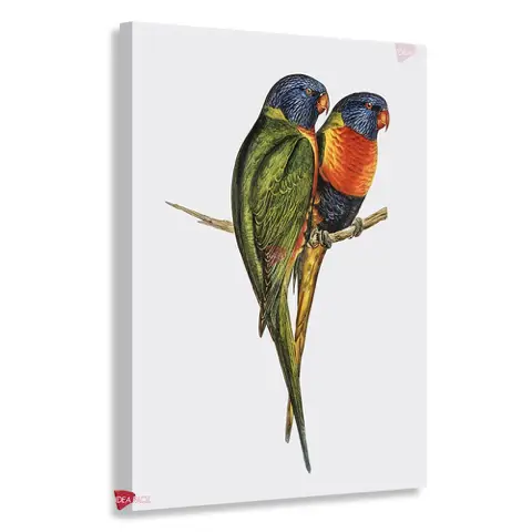 Aves Vertical Pjv17