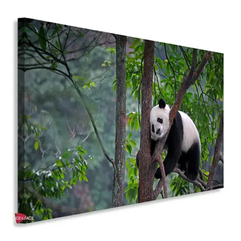 Pandas Horizontal Pdh1