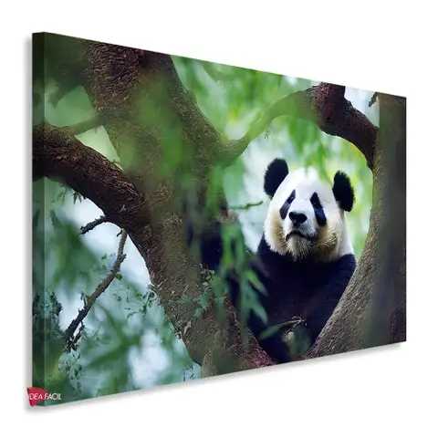 Pandas Horizontal Pdh17
