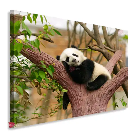 Pandas Horizontal Pdh8