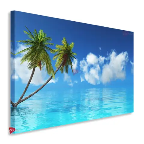 Playas Horizontal Pyh1
