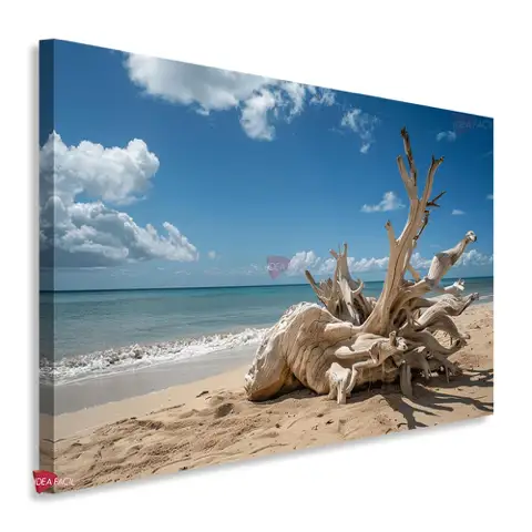 Playas Horizontal Pyh10