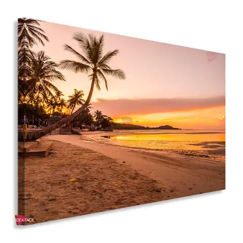 Playas Horizontal Pyh20