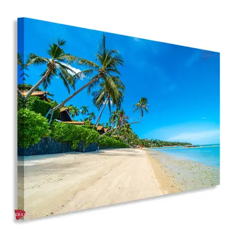 Playas Horizontal Pyh31
