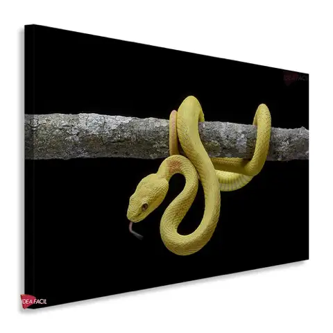 Serpiente Horizontal Srh2