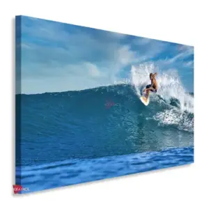 Surf Horizontal Sfh17