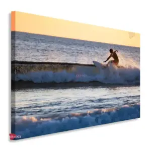 Surf Horizontal Sfh22