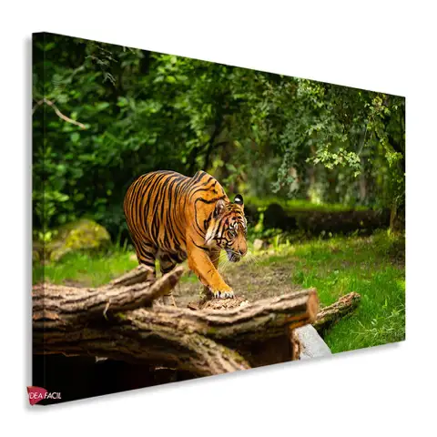 Tigre Horizontal Tgh15