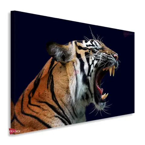 Tigre Horizontal Tgh6