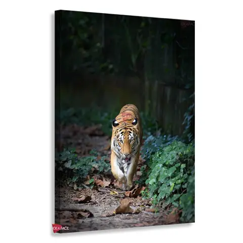 Tigre Vertical Tgv15