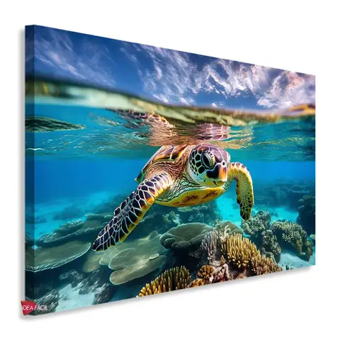 Tortugas Horizontal Tth17