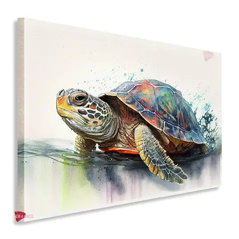 Tortugas Horizontal Tth3