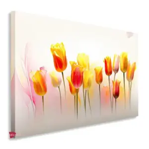 Tulipan Flores Horizontal Tfh4