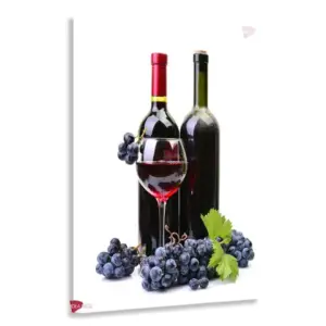 Vino Vertical Vnv5