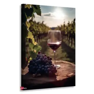 Vino Vertical Vnv7