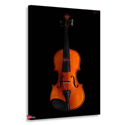 Violin Vertical Vvv10