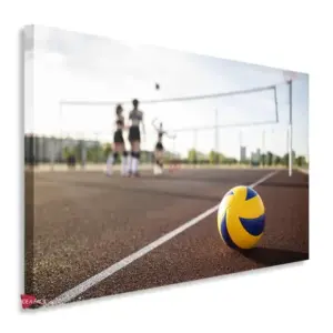 Voleibol Horizontal Vbh1