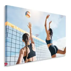 Voleibol Horizontal Vbh3