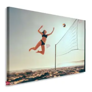 Voleibol Horizontal Vbh4