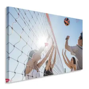 Voleibol Horizontal Vbh5