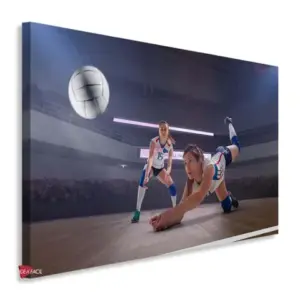 Voleibol Horizontal Vbh7