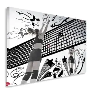 Voleibol Horizontal Vbh8