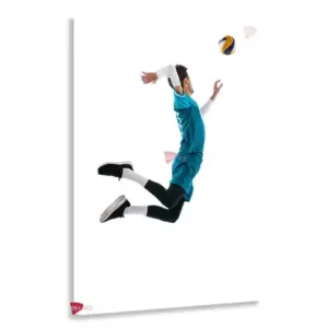 Voleibol Vertical Vbv1