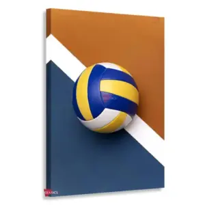 Voleibol Vertical Vbv3